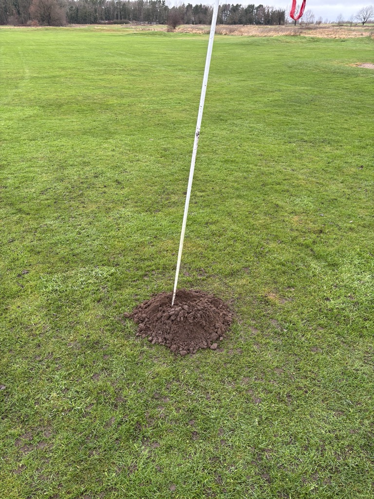 Golf hole on a green